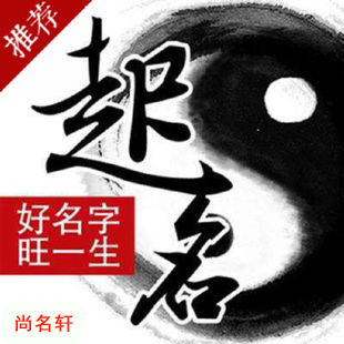 石龙宝宝起名