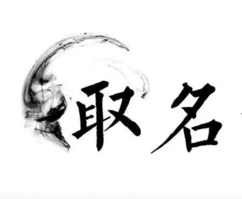  石龙宝宝取名 大师一对一人工起名