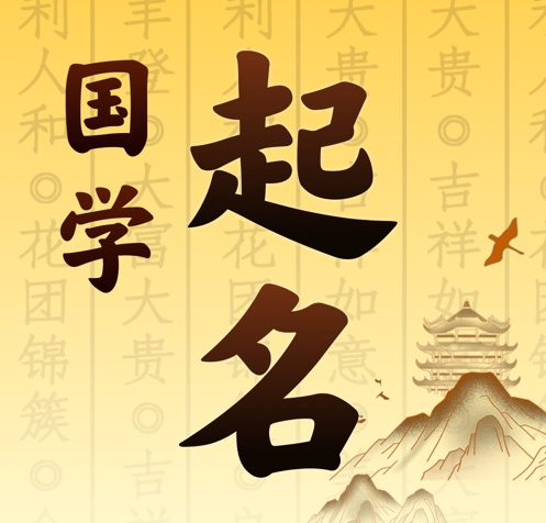 石龙国学起名 人工起名一对一