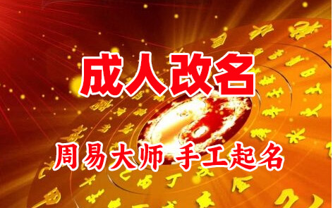 石龙成人改名-找大师一对一改名先分析后改名